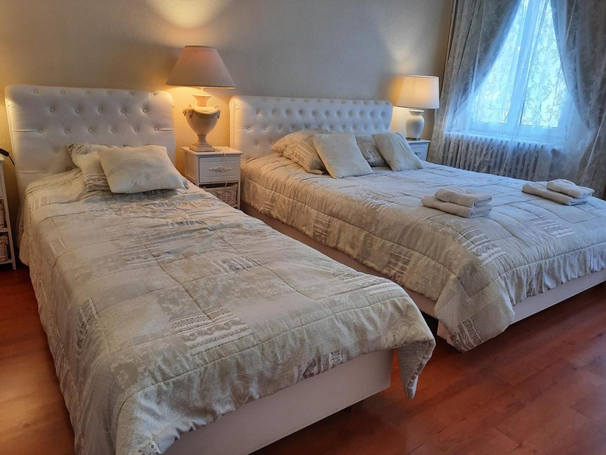 Apartments Center Colmar 5 מראה חיצוני תמונה